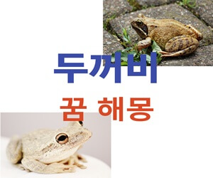 두꺼비-꿈-해몽-풀이