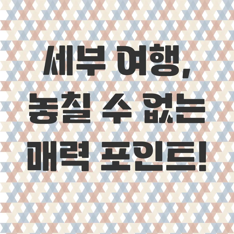 8월 세부 여행_2