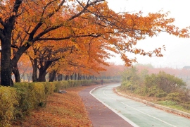  가을철 식중독 예방법