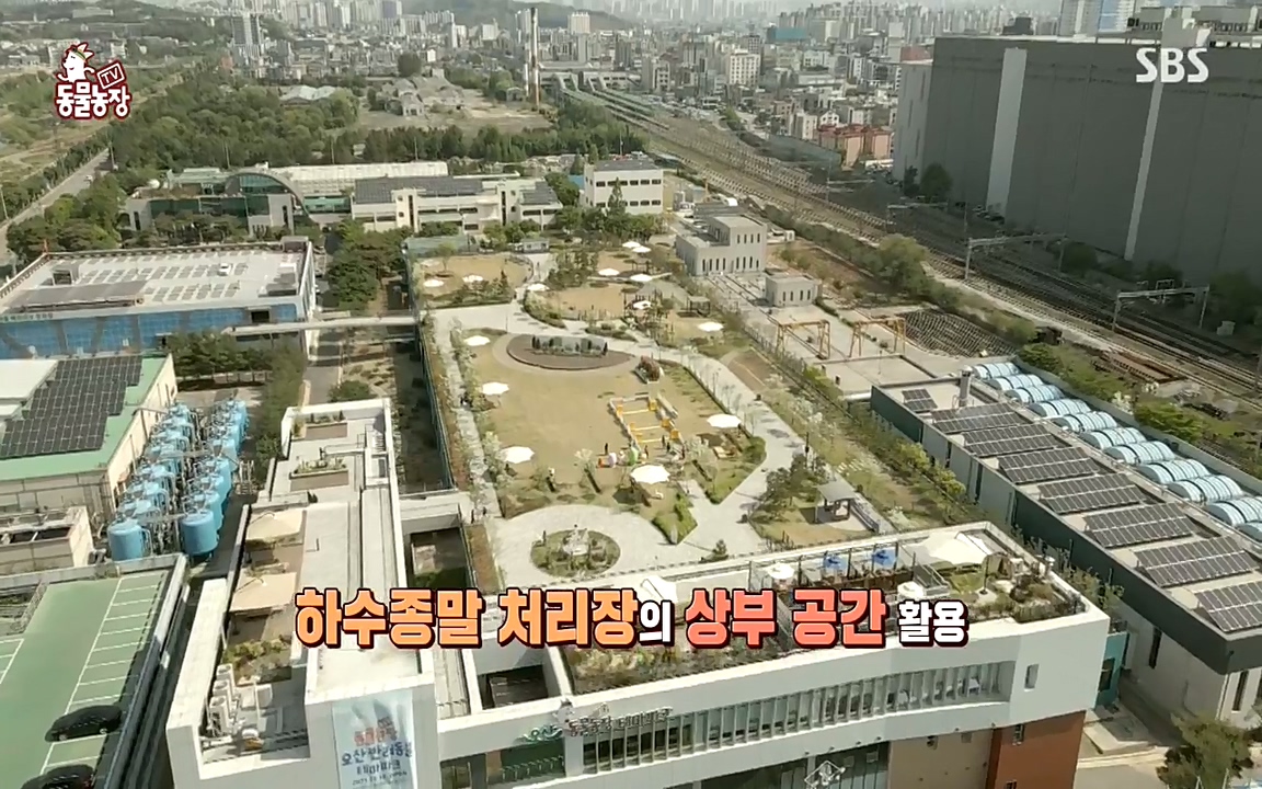 TV 동물농장.E1070.220523p-NEXT.mp4_20220522_175330.051.jpg