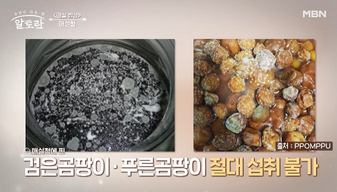 검은곰팡이-푸른곰팡이가-생기면-못먹는다