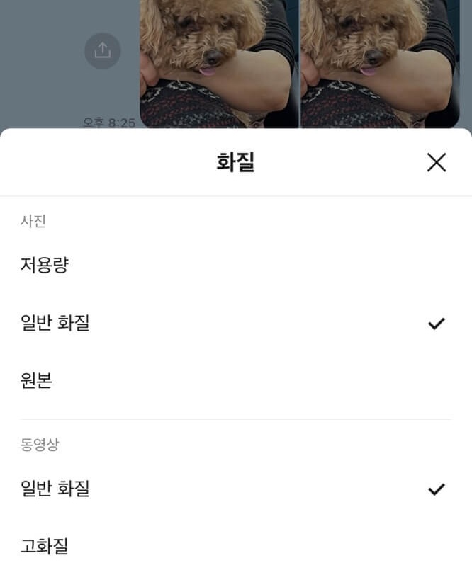 화질 일반