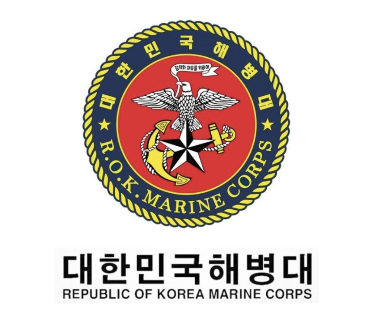 국회 본회의에서 통과된 해병대 채상병 특검법