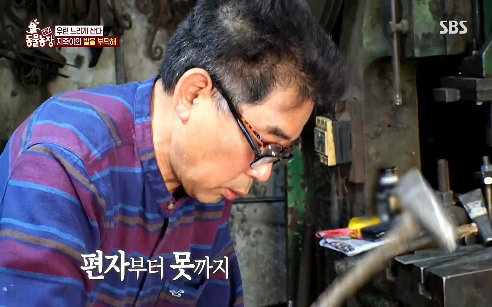 TV 동물농장.E1074.220619p.H264-F1RST.mp4_20220619_181837.813.jpg