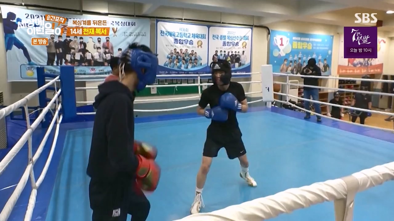 순간포착 세상에 이런일이.E1271.240331p-NEXT.mp4_20240331_151743.301.jpg