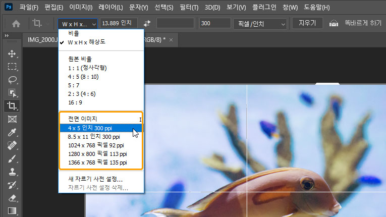 사전 크기 설정 선택