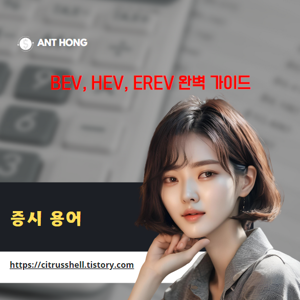전기차의 모든 것 : BEV, HEV, EREV 완벽 가이드 - 당신에게 맞는 전기차는?