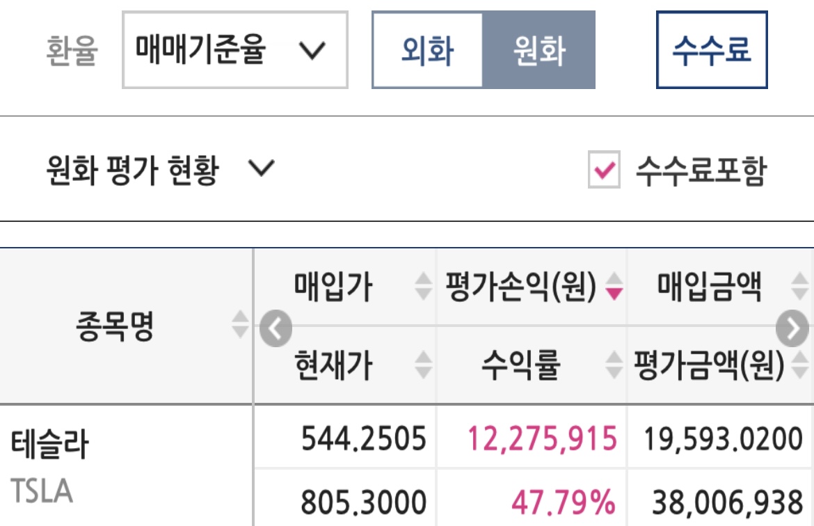 테슬라 투자 후기