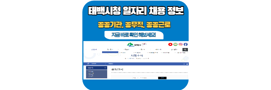 태백-시청-홈페이지-채용-정보