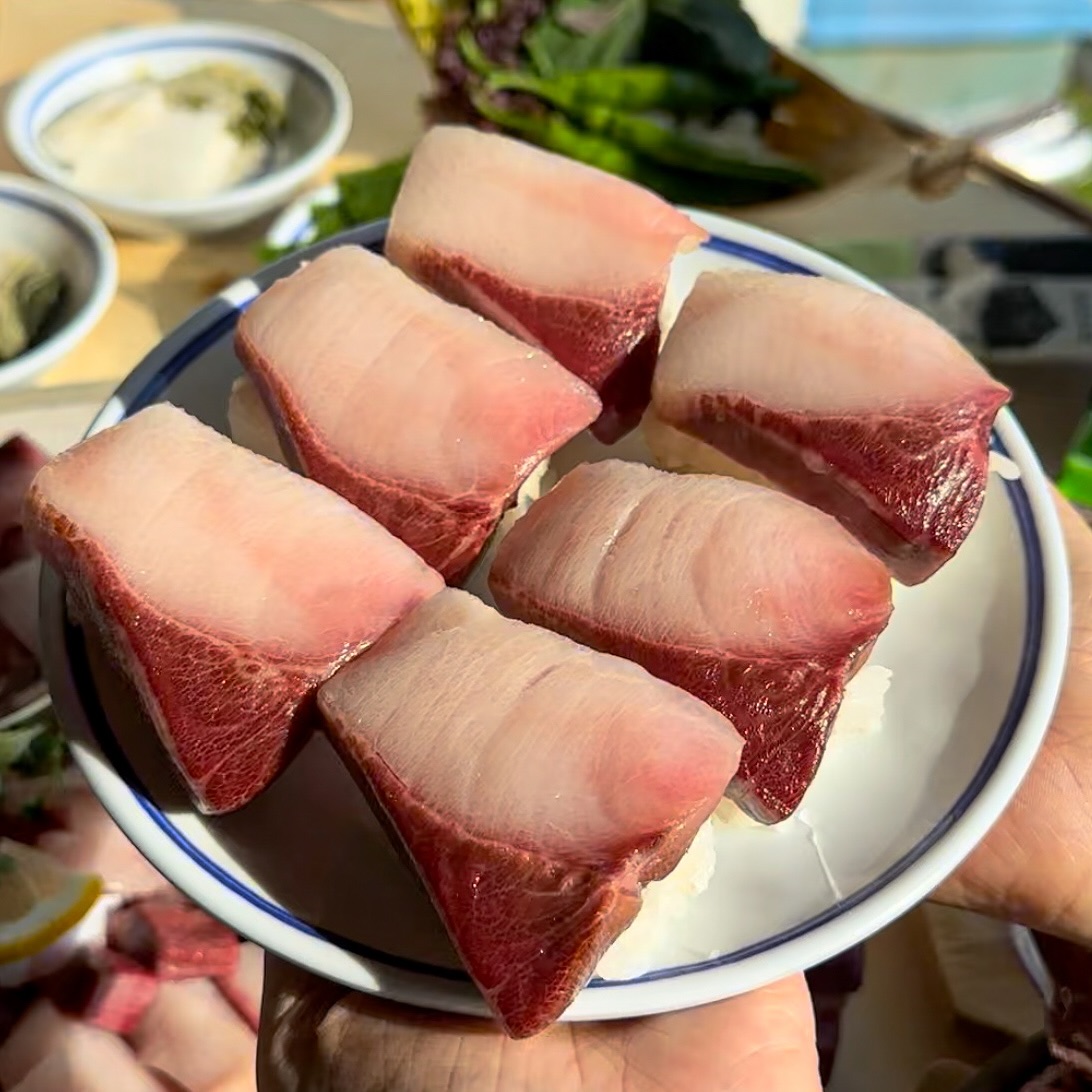 팔딱 사진 3
