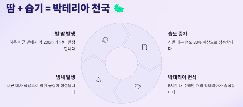 신발냄새 없애는 방법: 제거방법 BEST 7