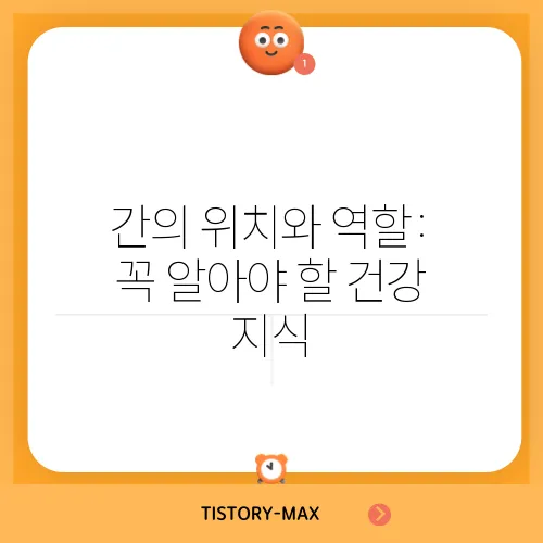 간의 위치와 역할: 꼭 알아야 할 건강 지식