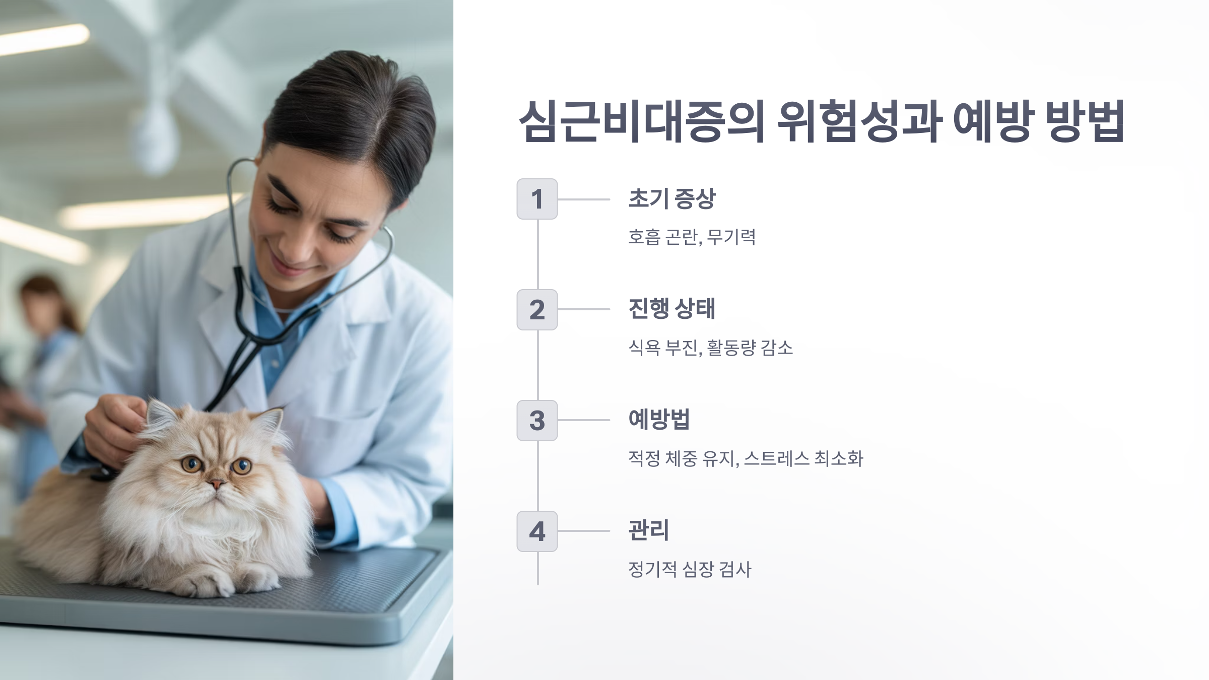 참조-고양이-4대-질환-3