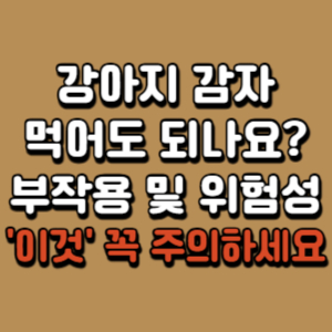 강아지-감자
반려동물-감자
고양이-감자