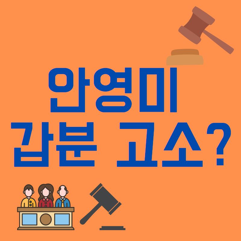 안영미 법적대응(원정출산 악플)