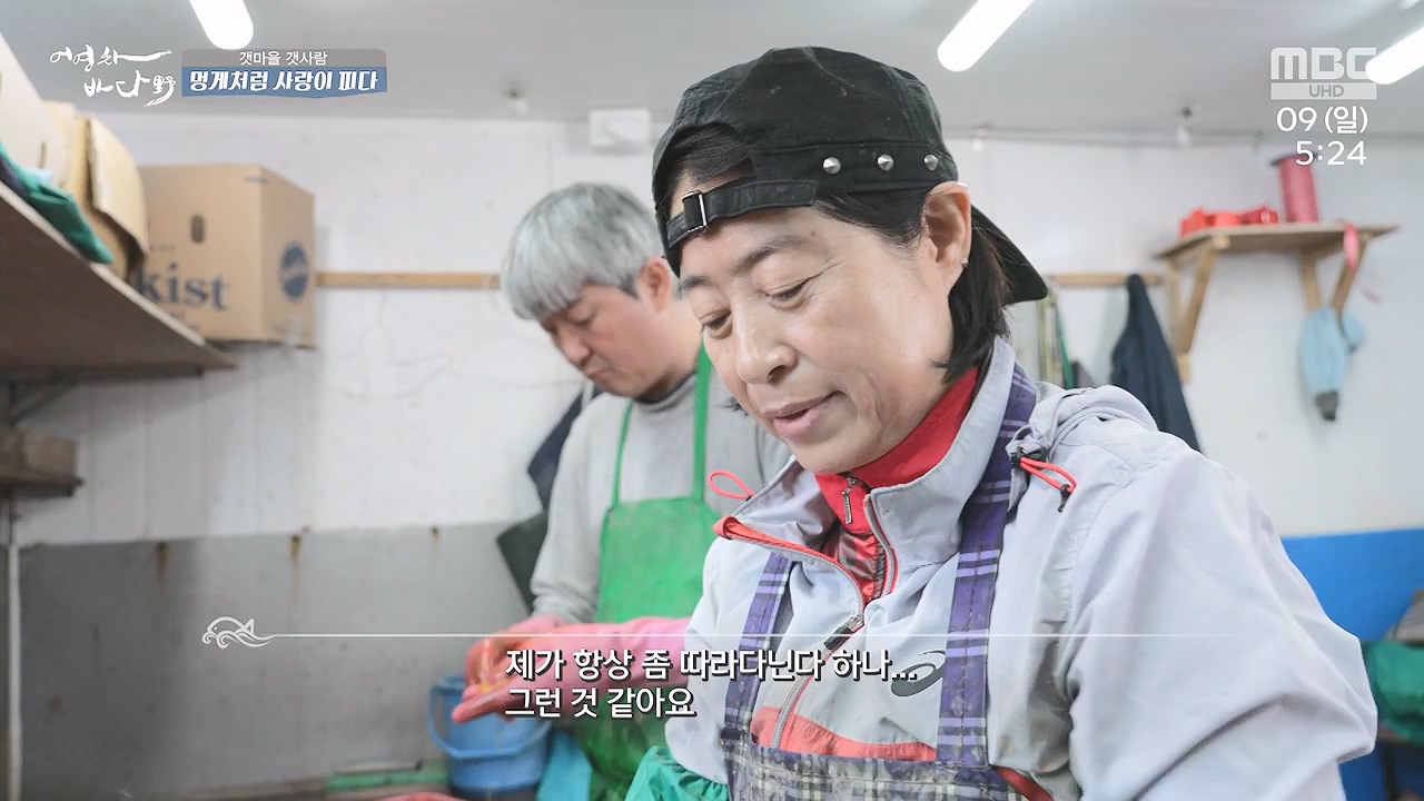 MBC 네트워크 특선 푸른백세 어영차 바다야.E1684.240610p-NEXT.mp4_20240611_203117.736.jpg