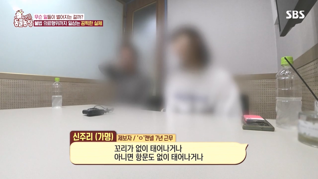 TV 동물농장.E1142.231023p-NEXT.mp4_20231022_174010.780.jpg