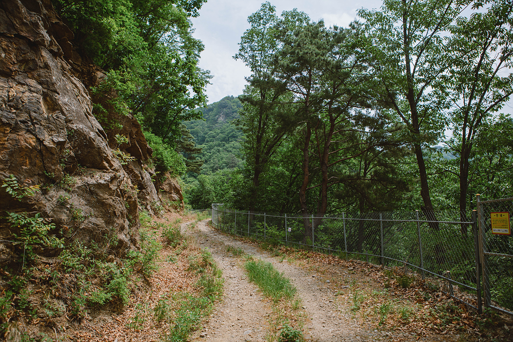 왼쪽에는 바위가 오른쪽에는 숲이 우거진 산책로.