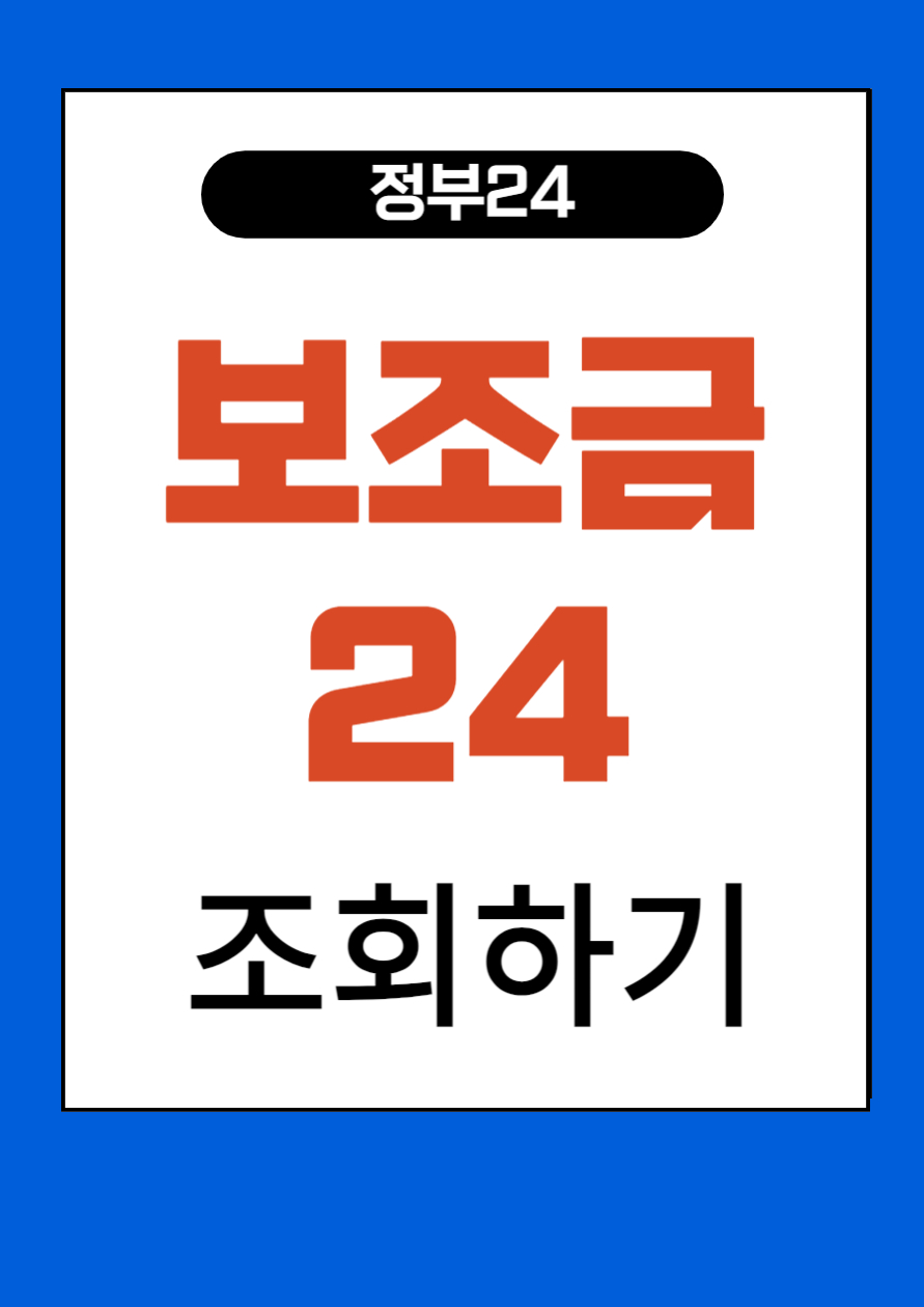 정부24-보조금24-조회하기