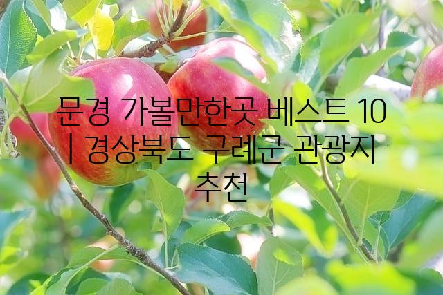 랜덤006