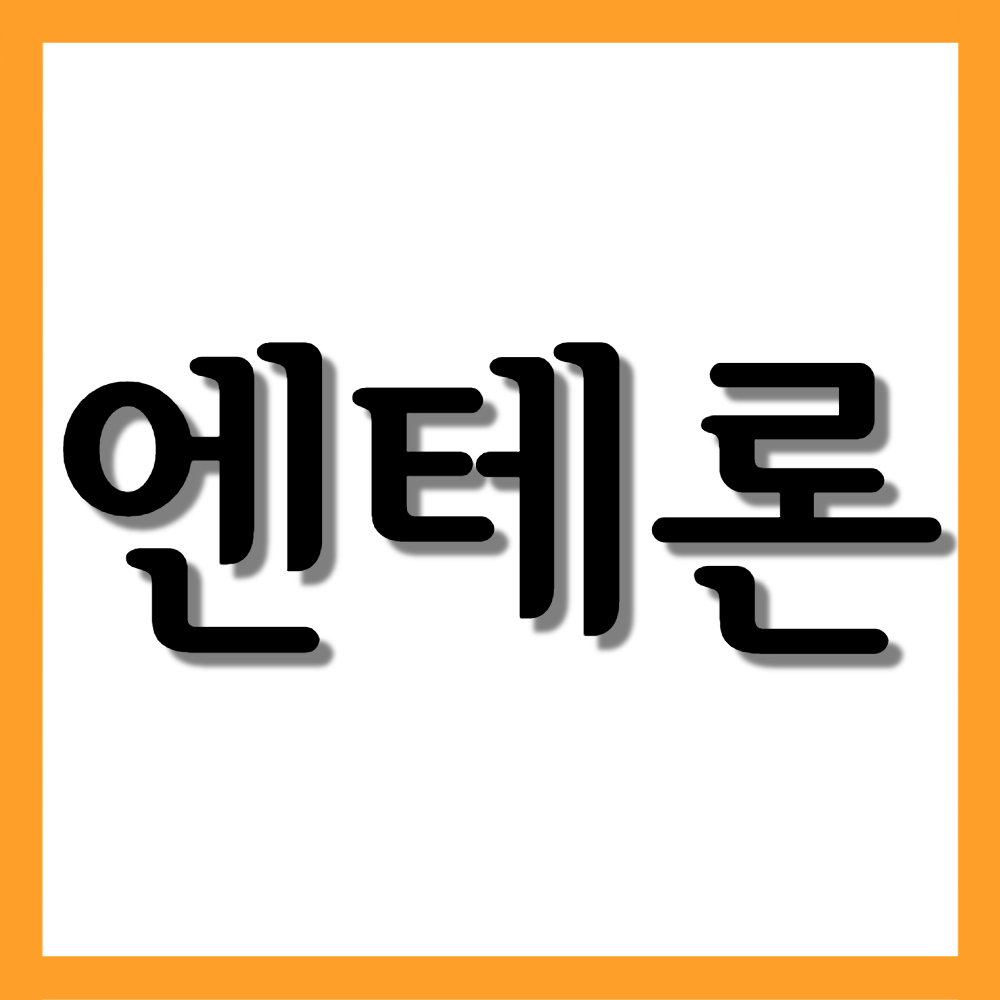  엔테론정, 효능/복용법/부작용 등 모든 것!