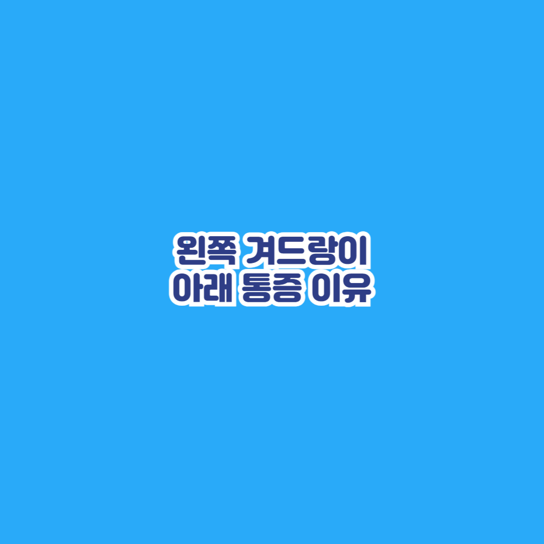 아래 이미지