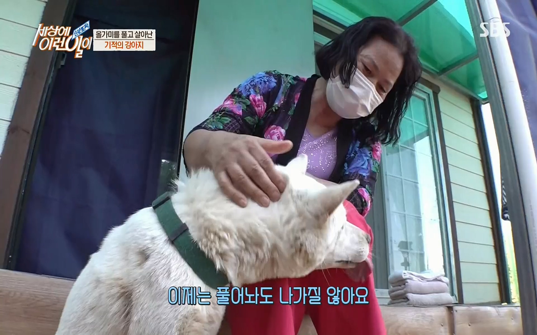 순간포착 세상에 이런일이.E1184.220614p.H264-F1RST.mp4_20220615_201708.276.jpg