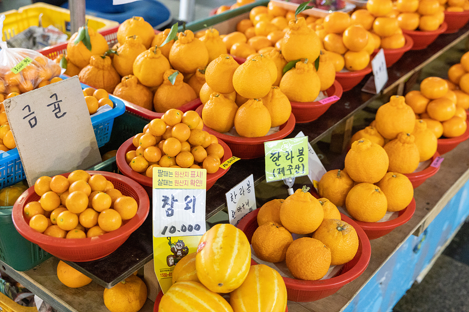 제주 서귀포 올레시장 제주도 서귀포 올레시장 먹거리 37
