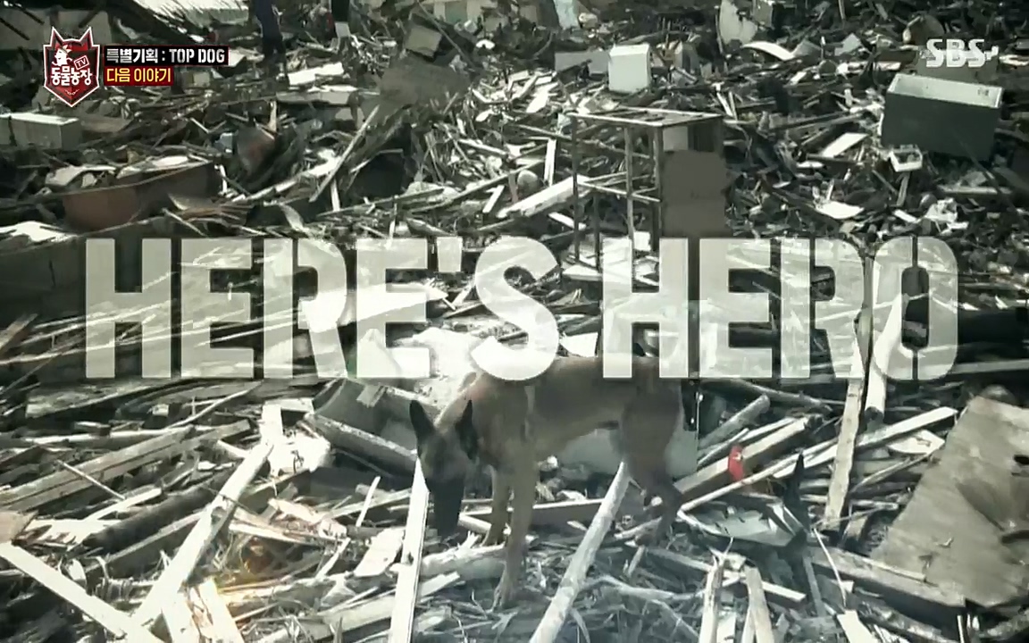 TV 동물농장.E1085.220905p-NEXT.mp4_20220904_173408.340.jpg