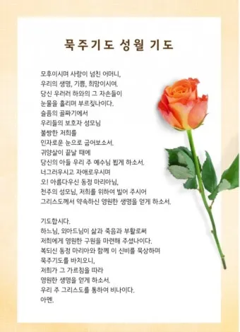 5월 성모성월과 함께하는 성인들의 발자취_20