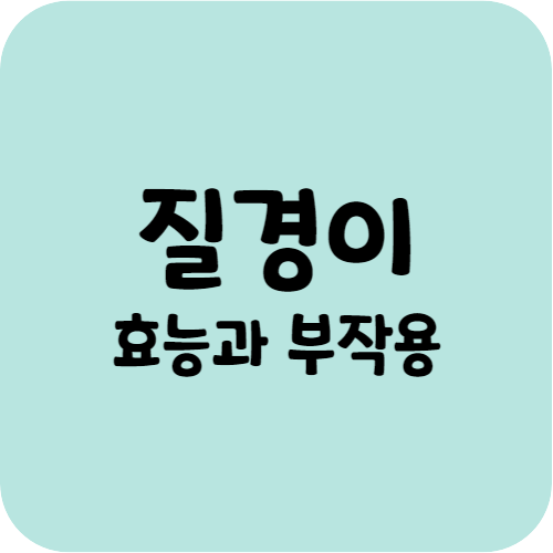 질경이의 효능과 부작용