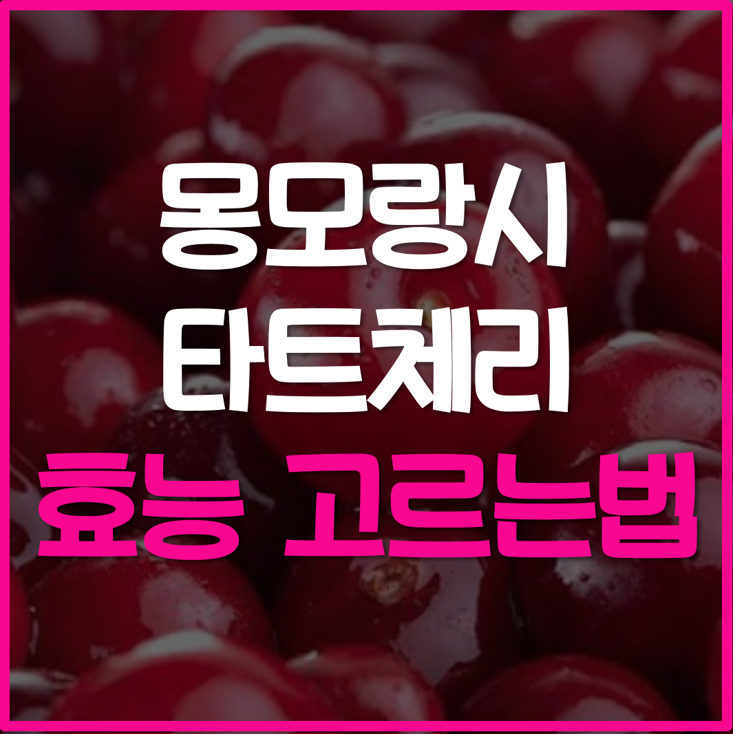  몽모랑시 타트체리 원액 주스 효능