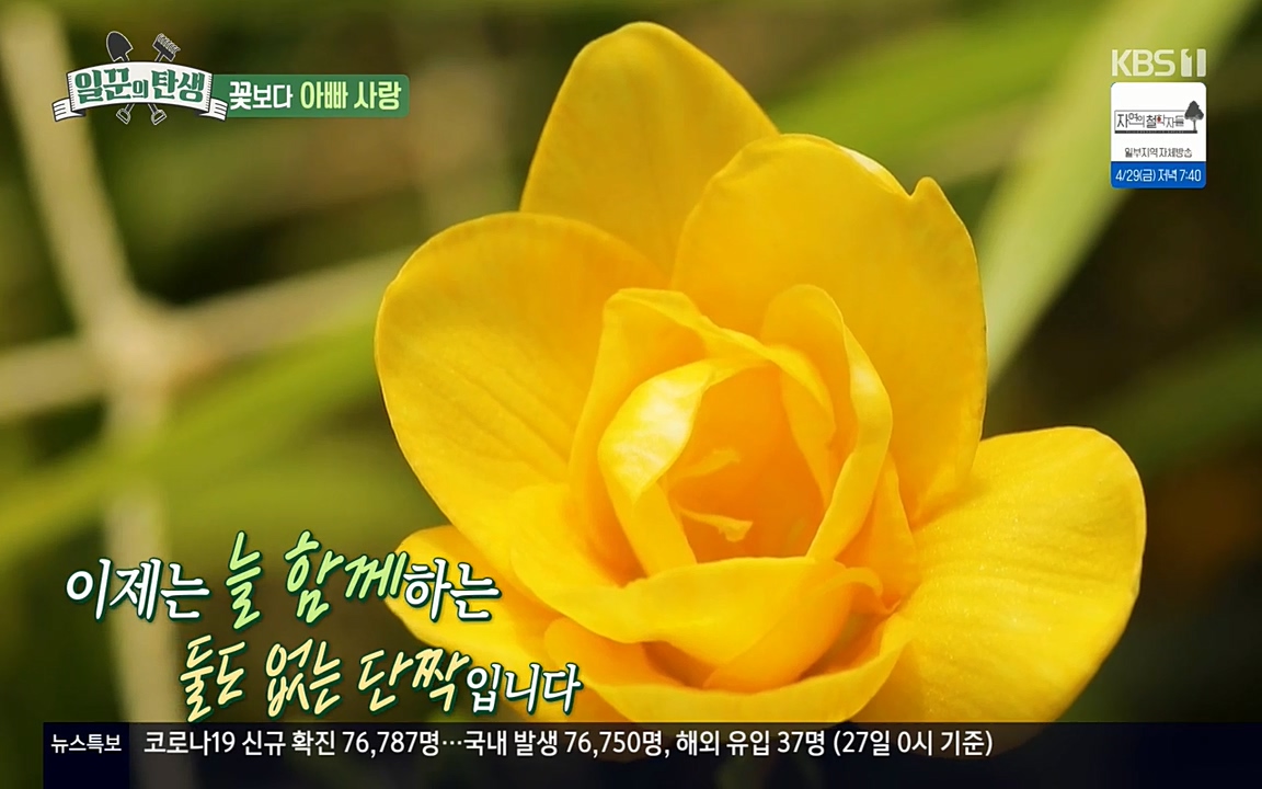 일꾼의 탄생.E21.220428p-NEXT.mp4_20220428_182624.238.jpg