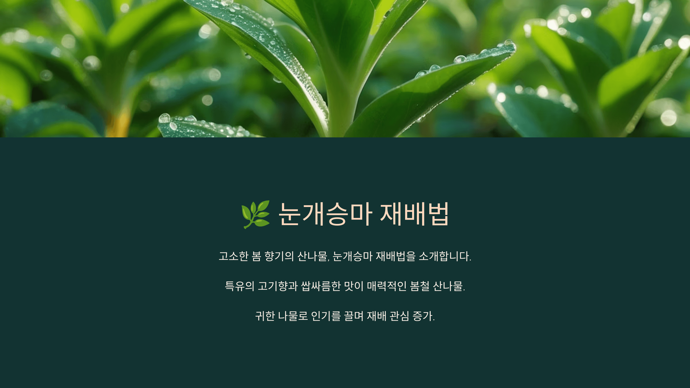 눈개승마 사진입니다.