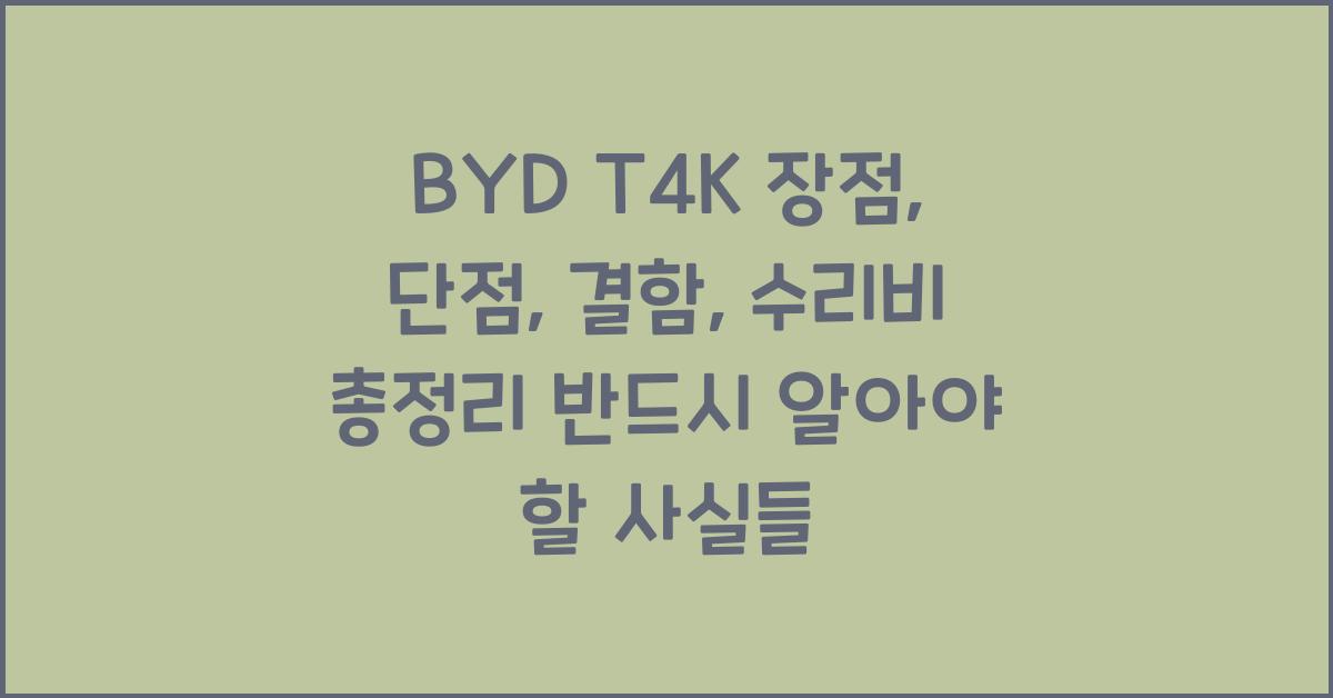 BYD T4K 장점, 단점, 결함, 수리비 총정리
