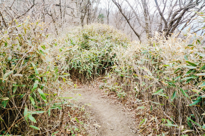 마늘로드 한국산 경북 상주 충북 보은 명산 속리산 등산 mountain hiking 문장대