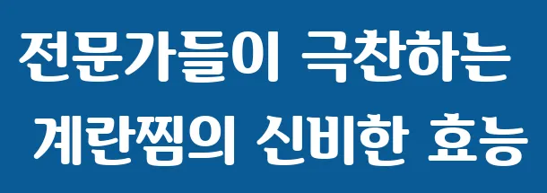 전문가들이 극찬하는 계란찜의 신비한 효능