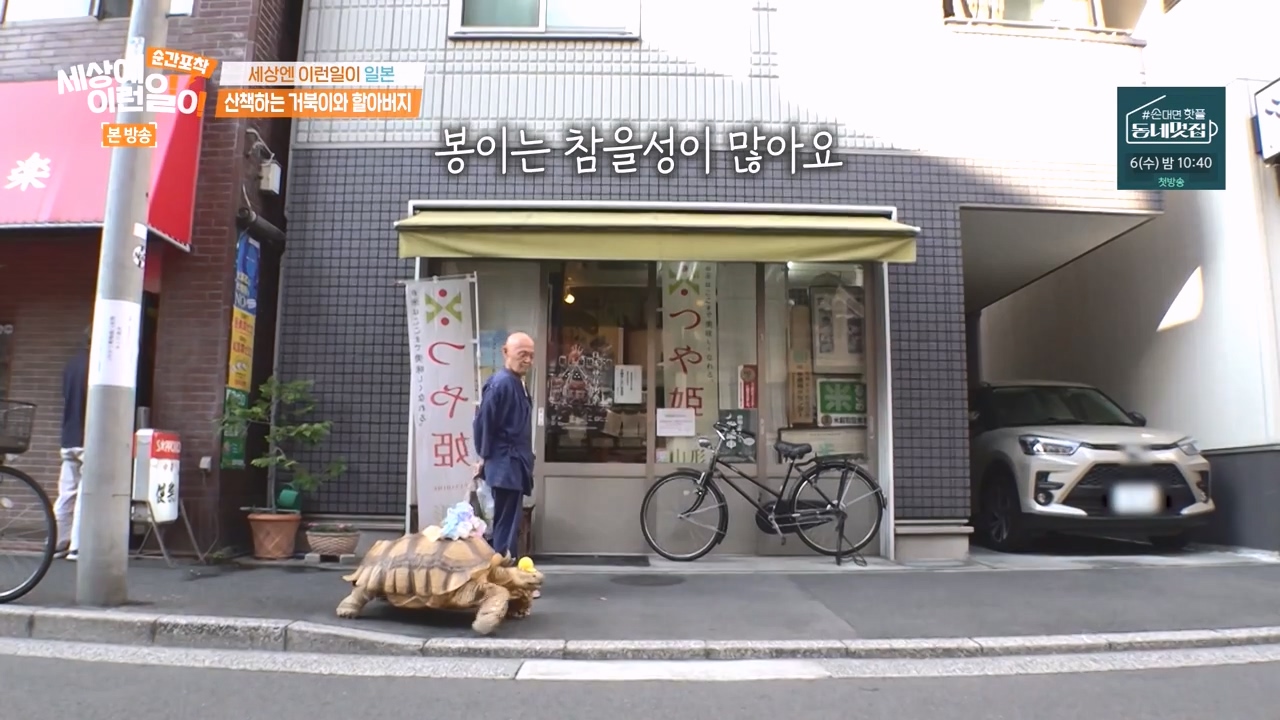 순간포착 세상에 이런일이.E1243.230827p-NEXT.mp4_20230827_172050.749.jpg