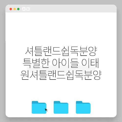 셔틀랜드쉽독분양 특별한 아이들 이태원셔틀랜드쉽독분양