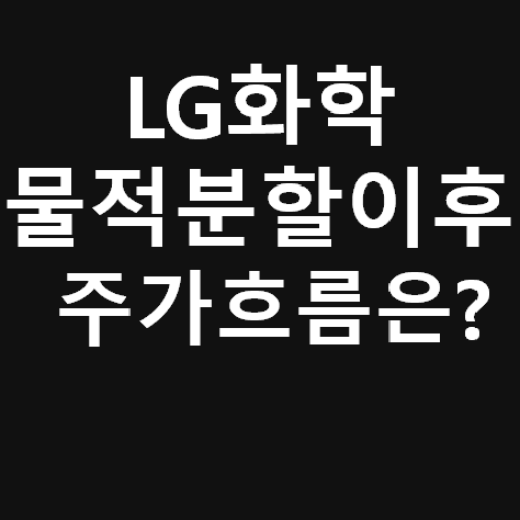 LG화학 물적분할