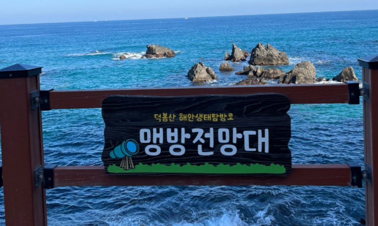 덕봉산 해안생태탐방로