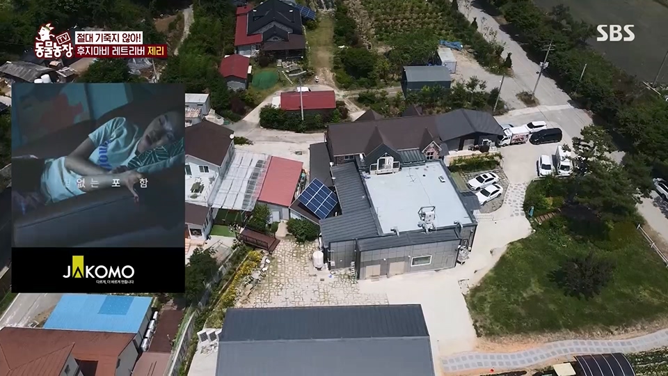 TV 동물농장.E1129.230716p.H264-F1RST.mp4_20230716_183618.381.jpg