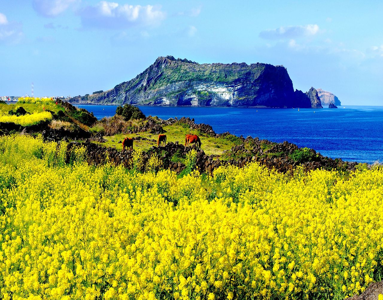 제주 성산일출봉