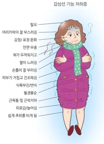 갑상샘 저하증 갑상선 기능저하증 증상 수치 치료_43