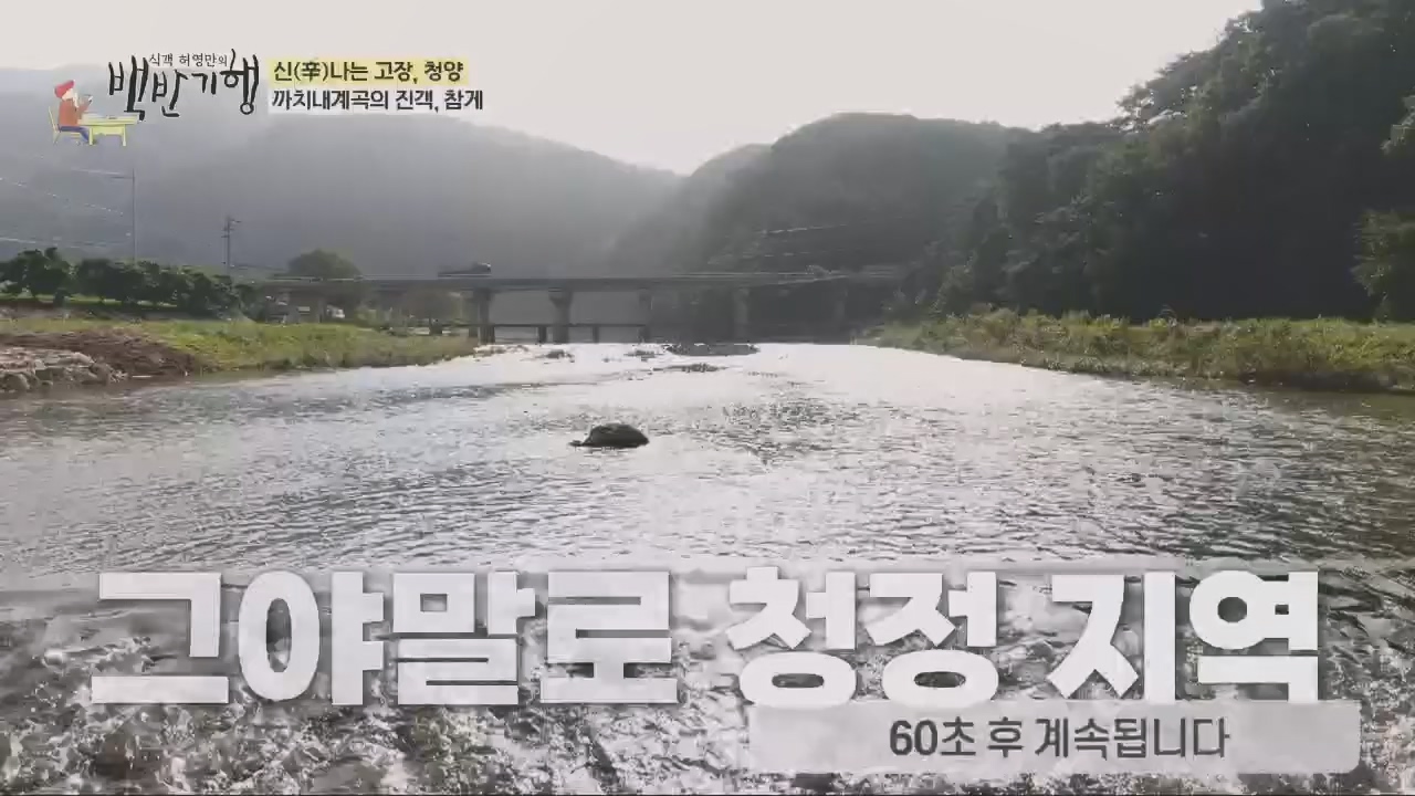 식객 허영만의 백반기행.E213.230826p.H264-F1RST.mp4_20230826_180908.830.jpg