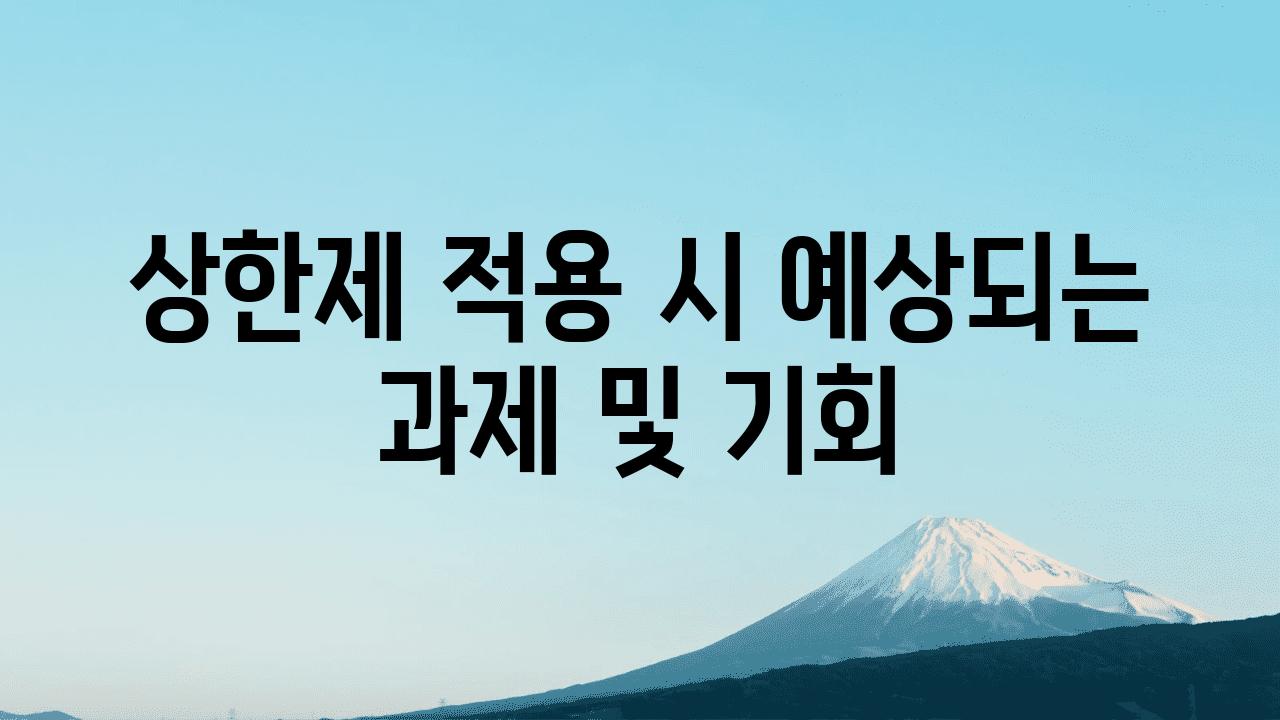 상한제 적용 시 예상되는 과제 및 기회