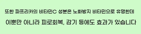  또한 파프리카의 비타민C 성분은 노화방지 비타민으로 유명한데 이뿐만 아니라 피로회복, 감기 등에도 효과가 있습니다
