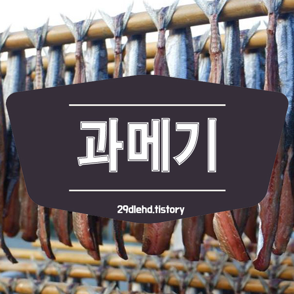 과메기-말리는-장면