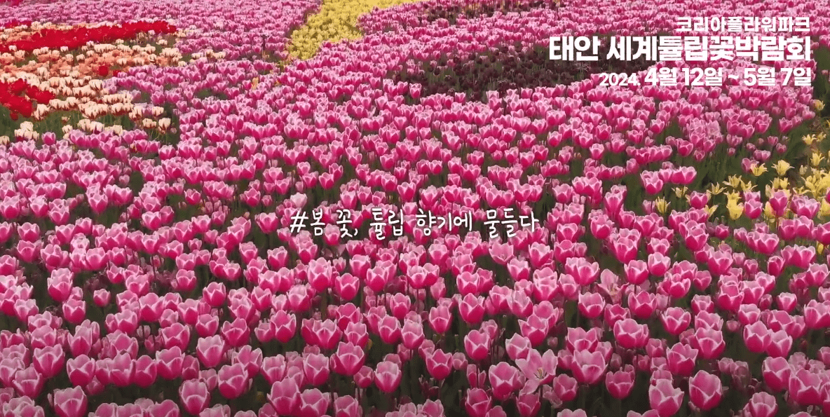 봄꽃여행지추천 4월 충청지역여행지추천