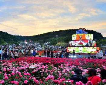 울산대공원 장미축제_10